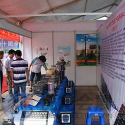 专业会议及展览服务 南宁市悦龙会议展览服务有限责任公司为东盟博览会、广西婚博会等展会提供标准展位一站式解决方案